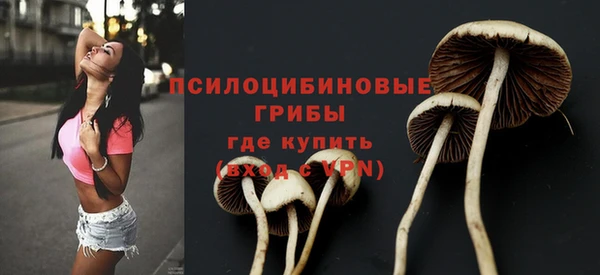 дмт Абдулино